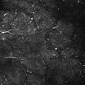 Thumbnail for dataset FiguS4A-S4B_Jasmone_8