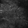 Thumbnail for dataset FiguS4A-S4B_Jasmone_9