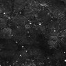 Thumbnail for dataset FiguS4A-S4B_Limonene_1