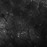 Thumbnail for dataset FiguS4A-S4B_Methyl-benzoate_2