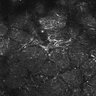 Thumbnail for dataset FiguS4A-S4B_Methyl-benzoate_5