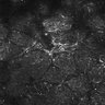 Thumbnail for dataset FiguS4A-S4B_Methyl-benzoate_6