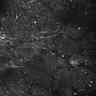 Thumbnail for dataset FiguS4A-S4B_Methyl-benzoate_7