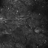 Thumbnail for dataset FiguS4A-S4B_Methyl-benzoate_8