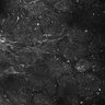 Thumbnail for dataset FiguS4A-S4B_Methyl-benzoate_9
