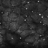 Thumbnail for dataset FiguS4A-S4B_Nonanone_1