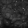 Thumbnail for dataset FiguS4A-S4B_Nonanone_2