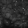 Thumbnail for dataset FiguS4A-S4B_Nonanone_3