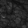 Thumbnail for dataset FiguS4A-S4B_Nonanone_4