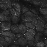 Thumbnail for dataset FiguS4A-S4B_Nonanone_5