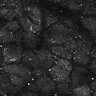 Thumbnail for dataset FiguS4A-S4B_Nonanone_6