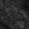 Thumbnail for dataset FiguS4A-S4B_Nonanone_9