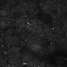 Thumbnail for dataset FiguS4A-S4B_Octylamine_1