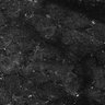 Thumbnail for dataset FiguS4A-S4B_Octylamine_7