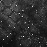 Thumbnail for dataset FiguS4A-S4B_Phenethylamine_1