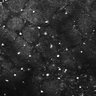 Thumbnail for dataset FiguS4A-S4B_Phenethylamine_2