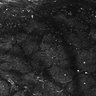 Thumbnail for dataset FiguS4A-S4B_Phenethylamine_5