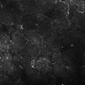 Thumbnail for dataset FiguS4A-S4B_Propionaldehyde_2