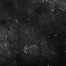 Thumbnail for dataset FiguS4A-S4B_Propionaldehyde_3
