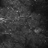 Thumbnail for dataset FiguS4A-S4B_Propionaldehyde_7
