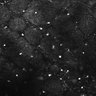 Thumbnail for dataset FiguS4A-S4B_Triethylamine_1