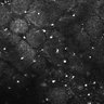 Thumbnail for dataset FiguS4A-S4B_Triethylamine_2