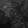 Thumbnail for dataset FiguS4A-S4B_Triethylamine_3