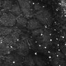 Thumbnail for dataset FiguS4A-S4B_Triethylamine_9