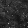 Thumbnail for dataset FiguS4A-S4B_Valeraldehyde_1