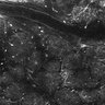 Thumbnail for dataset FiguS4A-S4B_Valeraldehyde_4
