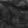 Thumbnail for dataset FiguS4A-S4B_Valeraldehyde_5