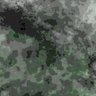 Thumbnail for dataset Fig4A_CE