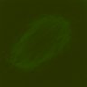 Thumbnail for dataset Fig3F_MovieS2