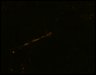 Thumbnail for Fig6_NR1_KO_cell18_2