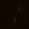 Thumbnail for dataset Fig6_NR1_KO_cell19_1