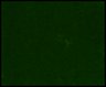 Thumbnail for dataset Fig6_NR1_KO_cell19_6