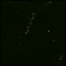 Thumbnail for dataset Fig6_NR1_KO_cell34_3