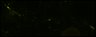 Thumbnail for Fig6_WT_cell3_3