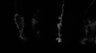 Thumbnail for dataset Fig7D-G_SeeDB2G