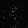 Thumbnail for dataset FigS3C_I7-IRES-ECFP