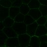 Thumbnail for dataset MovieS3-EG-Chd