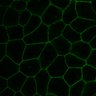 Thumbnail for dataset MovieS4-EG-Nog