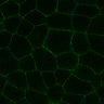 Thumbnail for dataset MovieS1-EG