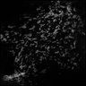 Thumbnail for dataset Fig8_SDSRM