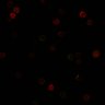 Thumbnail for dataset Fig1C