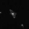 Thumbnail for dataset LAMP1-ONL