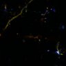 Thumbnail for dataset fig4B_p70_tetbow1