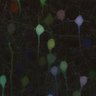 Thumbnail for dataset fig6_chemical_SeeDB2G