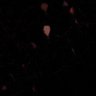Thumbnail for dataset fig7B_XFP-1-10-11_2