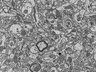 Thumbnail for dataset Fig3i_FIB-SEM_synapse